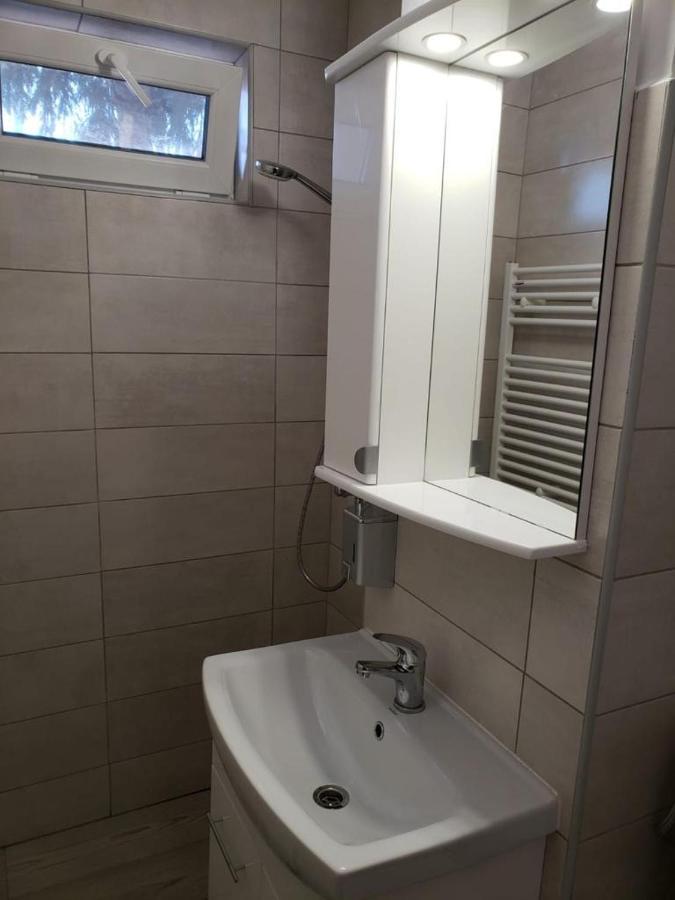 Apartament Silvia Apartment Sibiu Exterior photo